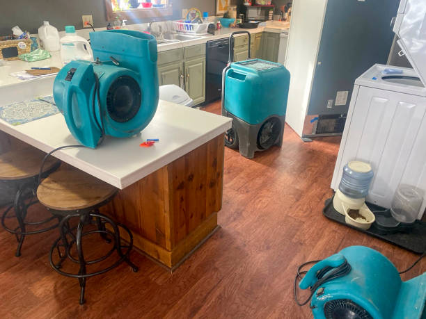 Best Water damage cleanup near me  in Cowarts, AL