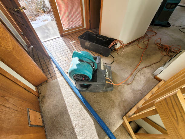 Best Water damage restoration company  in Cowarts, AL