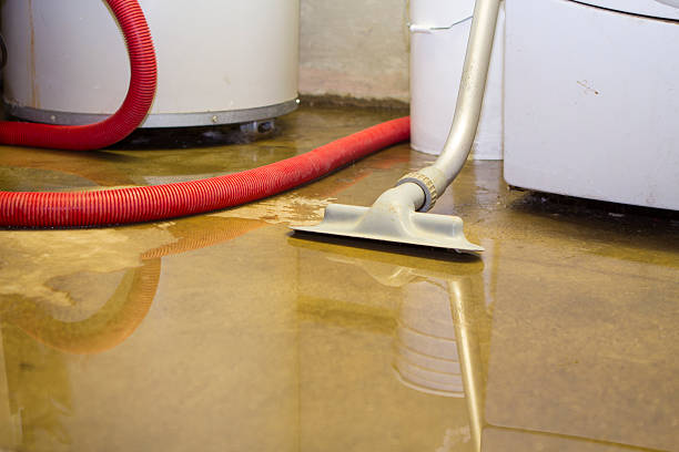 Best Water damage restoration process  in Cowarts, AL
