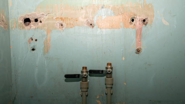 Best Professional water damage repair  in Cowarts, AL