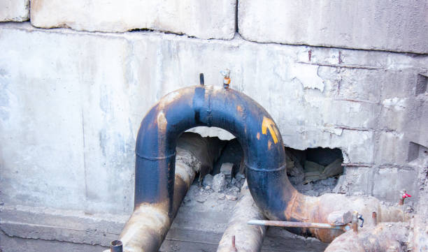 Best Basement water damage restoration  in Cowarts, AL