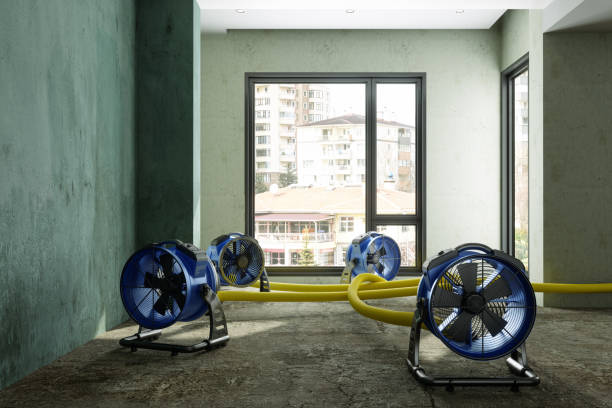 Best Water damage restoration company  in Cowarts, AL